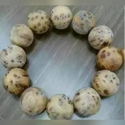 《空洞骑士》丝之歌蘑菇先生隐藏任务攻略：揭秘见证位置，轻松解锁新玩法