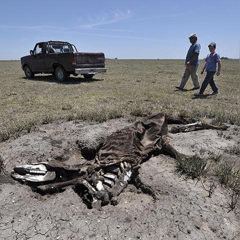 四季丰收指南：揭秘《牧场物语风之繁华集市》最佳作物攻略