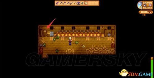 《星露谷物语》高效鸡窝升级攻略：打造高产鸡舍秘籍