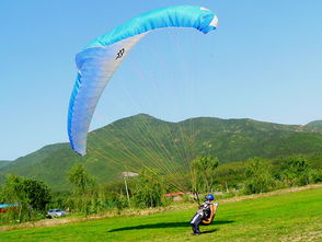 《牧场物语风之繁华集市》滑翔伞技巧揭秘：轻松翱翔新体验