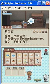 《牧场物语风之集市》资金加速攻略：揭秘高效刷金技巧