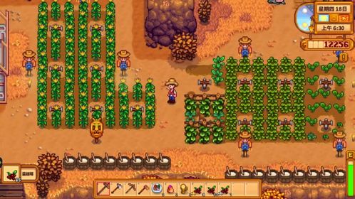 上古种子获取攻略：揭秘《星露谷物语》独特获取途径