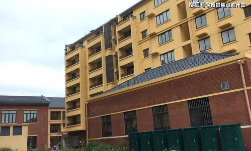 《地狱即我们》豪华版入手必看！深度解析值不值得入手