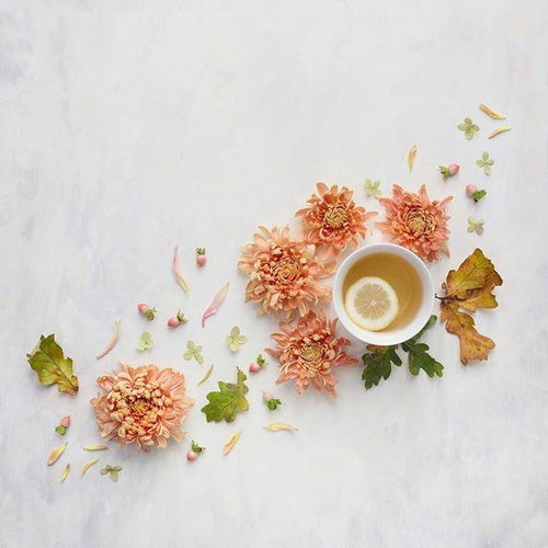 《暗徒誓约》深度解析：沉浸式背景+独特玩法，揭秘游戏魅力所在