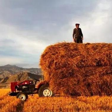 《地狱即我们》超值购入攻略:揭秘低价购买渠道 《地狱即我们》超值购入攻略:揭秘低价购买渠道