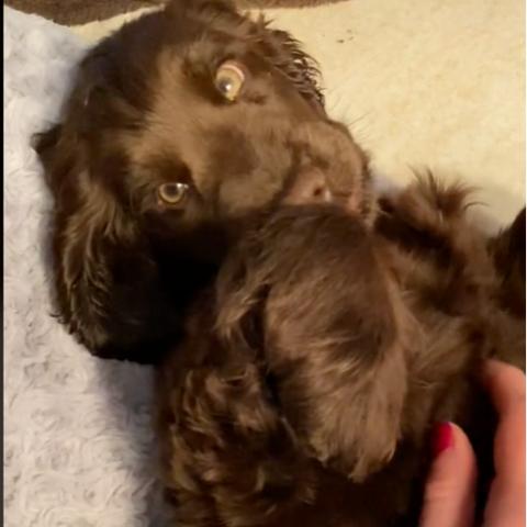 《失落之魂》豪华版福利揭秘：独家奖励大放送！