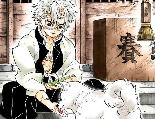 《鬼灭之刃》风柱实弥攻略：不死川实弥高效打法解析