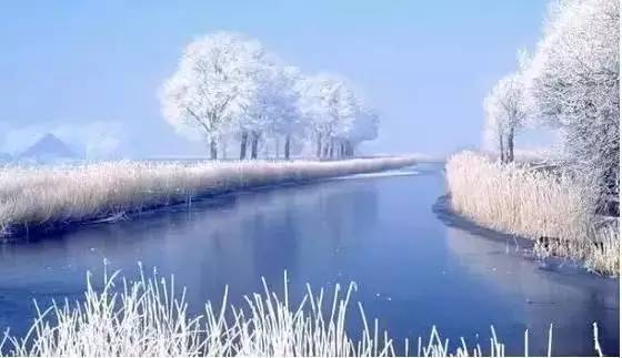 《原神》雪幕前事拍照攻略：揭秘5.8留影秘境，必看拍照位置解析