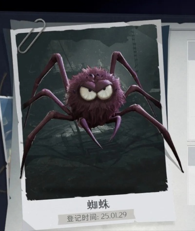 《超自然行动组》蜘蛛攻略：高效应对与捕捉技巧揭秘