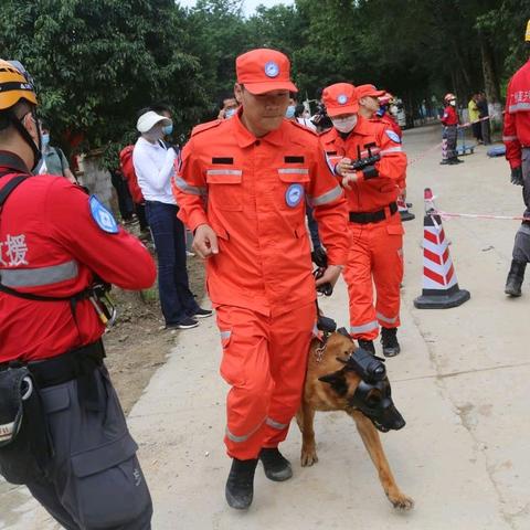 《极速营救》全章节攻略：高效选择流程揭秘，轻松通关秘籍！