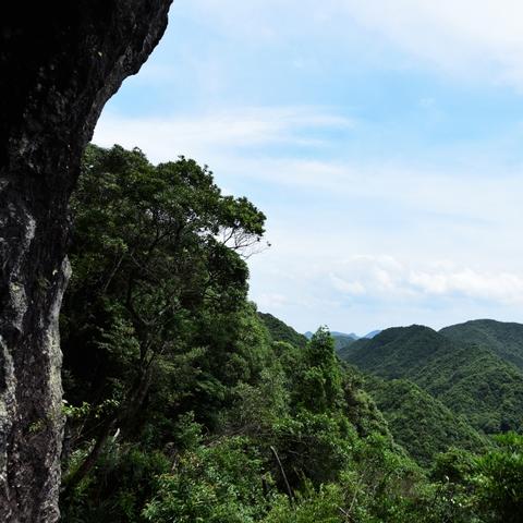 《明末渊虚之羽》第二章攻略：云顶城年岁长支线必胜秘籍揭秘