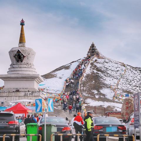 《菜市场模拟器》牧场攻略：揭秘高效动物养殖技巧