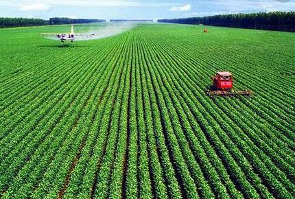 菜市场模拟器种田攻略：轻松掌握高效农业技巧