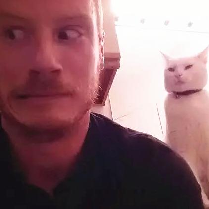 《王之凝视》法术流攻略揭秘：掌握神秘法术，轻松制胜之道