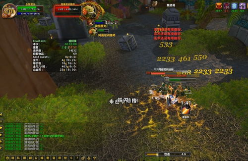 探秘魔兽 50 万金价值几何，虚拟与现实的财富纽带