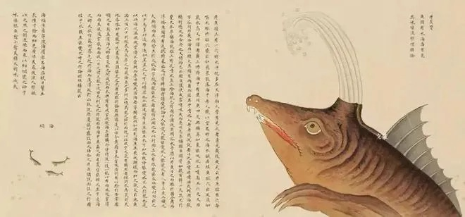 《海错图》养成秘籍：掌握必胜法则，轻松升级新攻略！