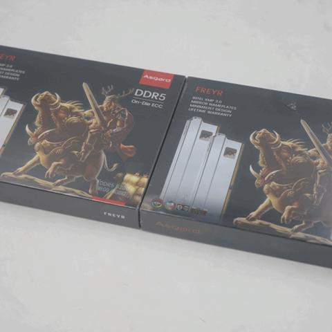 DNF真野猪套装当年有多火?250天制作周期肝到爆! DNF真野猪套装当年有多火?250天制作周期肝到爆!