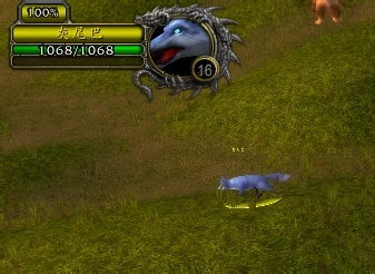 魔兽世界猎人必抓:那些稀有宝宝的捕捉指南 魔兽世界猎人必抓:那些稀有宝宝的捕捉指南