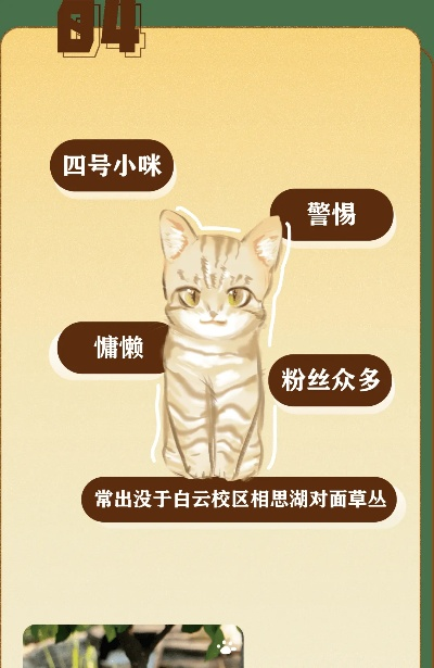 哪个猫咪地域网名入口资源多？这里汇总了好多有趣的名字。