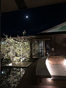 《爱氏物语》隐藏温泉旅馆攻略:揭秘解锁隐藏结局的神秘之门 《爱氏物语》隐藏温泉旅馆攻略:揭秘解锁隐藏结局的神秘之门