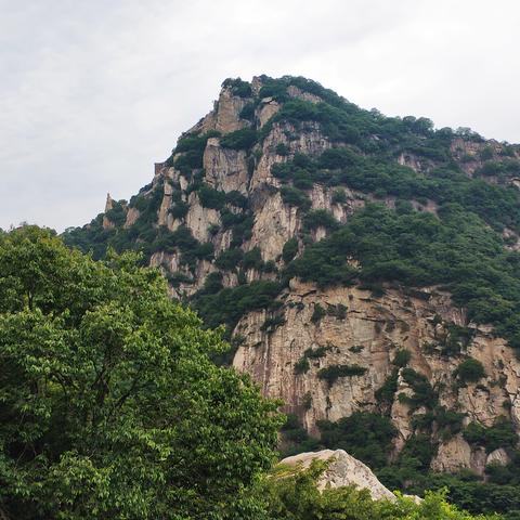 《明末渊虚之羽》唐王行宫谜题门破解攻略，解锁神秘宝藏新线索