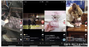 海瑟音抽取攻略：必抽理由揭秘，错过就亏大了！