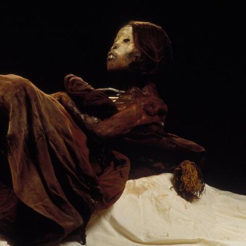 帝国时代四下载,还能免费下载