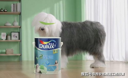 《王之凝视》难度10攻略：掌握独家技巧，轻松通关秘籍大公开