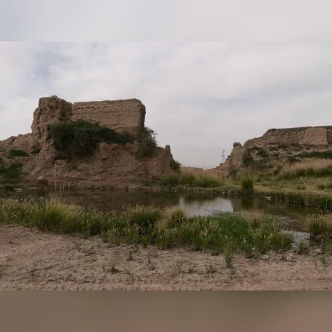 《禁闭求生2》织蜘蛛坐骑攻略：快速获取独门秘籍！