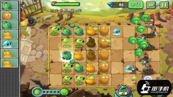 《植物大战僵尸》重植版中文设置攻略：轻松开启中文体验之旅