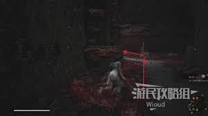 《明末渊虚之羽》揭秘：如何轻松获取神秘“无名之眼”技能！