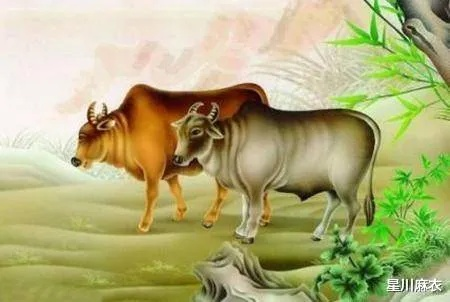 牛生肖逃课攻略揭秘：执令灵相高效打法解析，轻松通关！