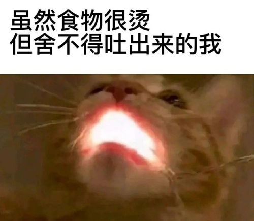 《星痕共鸣》森语者愈合流攻略：高效培养技巧揭秘，轻松掌握！