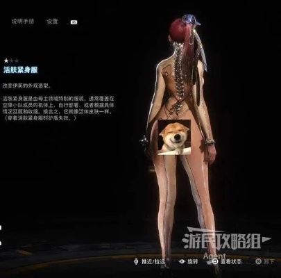 《剑星》黑珍珠服装攻略：轻松解锁独特珍稀服饰