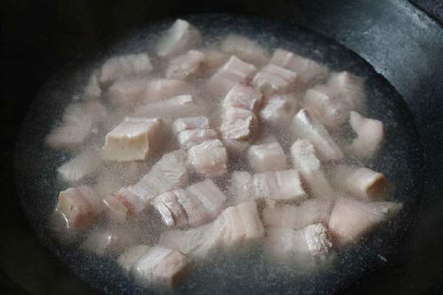 《金铲铲之战》S14超频猫狗攻略：掌握超频猫狗玩法技巧