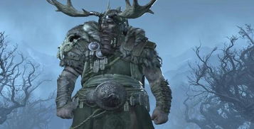 《暗黑破坏神4》S9德鲁伊毒拍熊攻略：打造高效输出利器