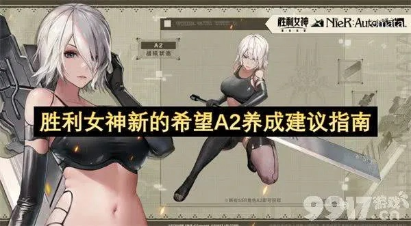 《胜利女神新希望》2B技能深度剖析：打造最强阵容攻略！