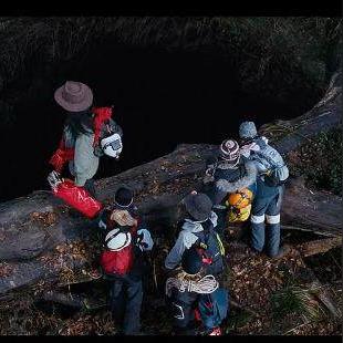 赛尼尔深渊票礼包必买攻略：解锁隐藏福利！