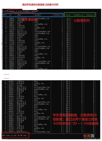 剑星数据库记忆棒日志一览，深度解析游戏数据新视角