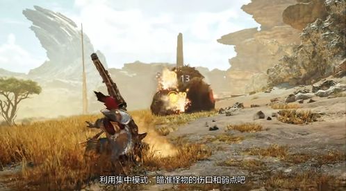 千刃龙武器解析：荒野猎人必备防具性能全揭秘