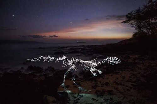 夜晚小飞马摄影技巧，解锁《无限暖暖》独特夜景玩法攻略