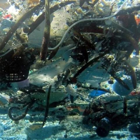 解锁《死亡搁浅2》神秘实验室:地球物理研究新篇章等你探索 解锁《死亡搁浅2》神秘实验室:地球物理研究新篇章等你探索