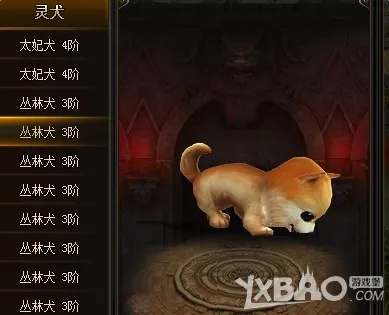 《仙遇》寻宝灵犬坐骑轻松入手攻略，解锁神秘新坐骑技巧揭秘