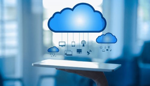 《PEAK》独家揭秘：掌握毒蘑菇识别技巧，安全探险无忧