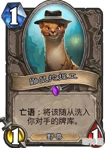 炉石传说污手猎新攻略：高效构筑代码解析，助你轻松上分