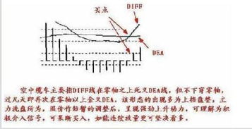 《多重人生》探矿攻略揭秘：高效线缆连接技巧，解锁地图新境界