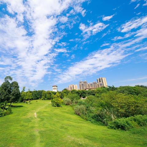 《多重人生》基地攻略：解锁物品图鉴，打造完美家园秘籍！