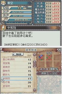 《符文工房龙之天地》村庄满级攻略：解锁神秘宝藏必看秘籍