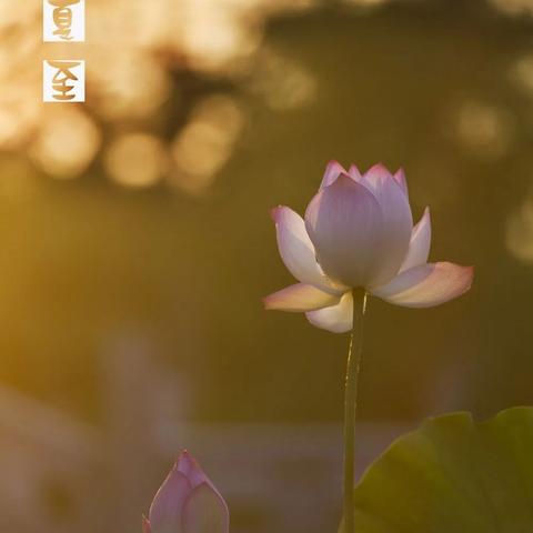 《多重人生》深度攻略：全任务解析+资源攻略，解锁人生新境界