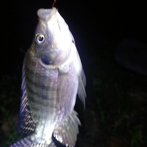 《鸣潮》2.4活动盘点：揭秘2.4上半精彩内容，不容错过的游戏盛宴